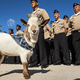 Image for article titled Seafaring "Salty Goat" Sinks Navy Cruiser Captain's Career